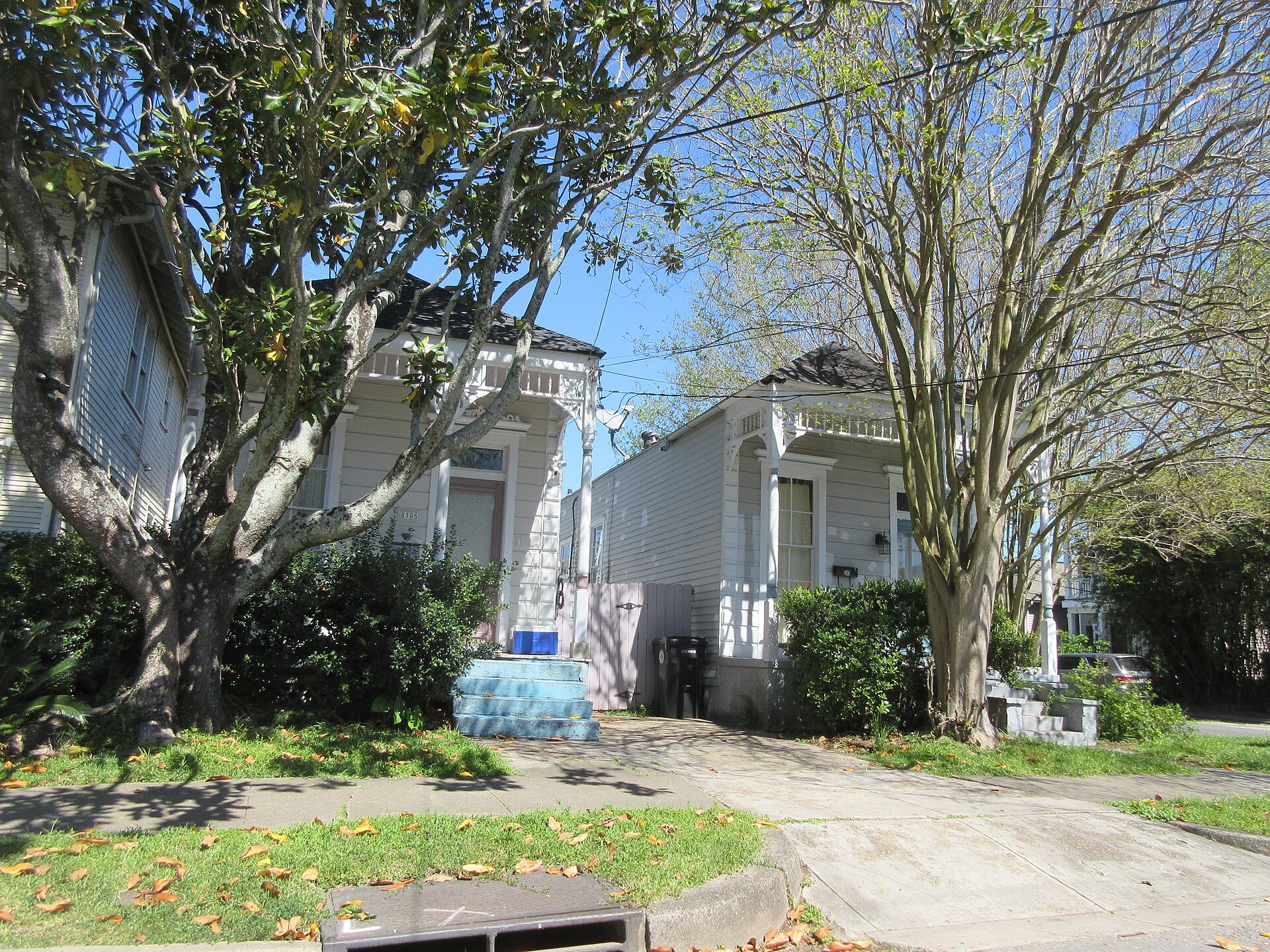 Shotgun houses on a tree-lined New Orleans street